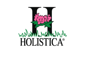 هولیستیکا